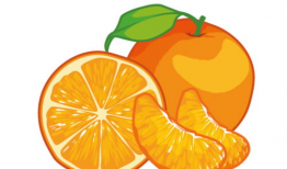 橙子动漫,青春校园的甜蜜旋律